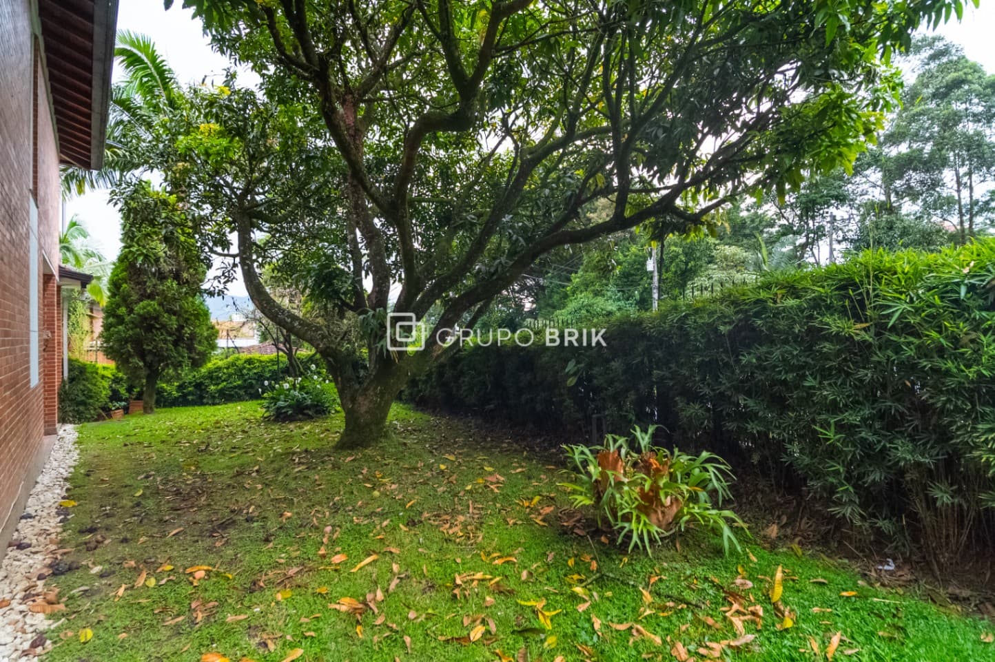 Image 19 of 41